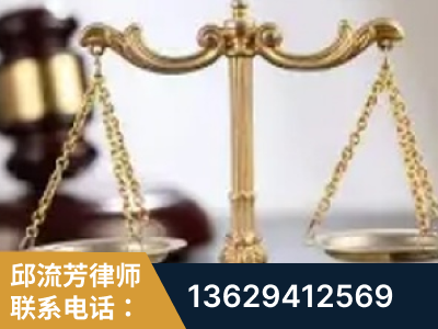 应城-委托诉讼代理人出庭
